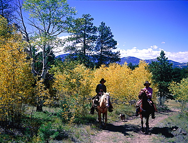 Usa, South West, Colorado, Lake Saint Georges Vicinity, Two Cowboys Riding In The Fall