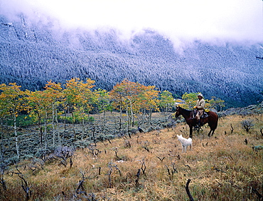 Usa, South West, Wyoming, Big Horn Mountains At End Of Fall, Cowboy And Dog After The First Snow