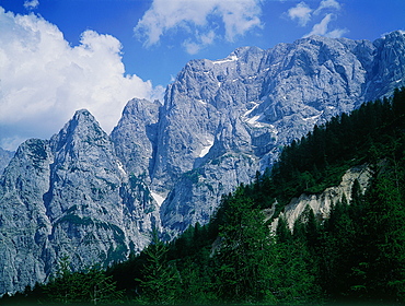 Slovenia, The Alps, Mountains And Pine Forest In The Upper Soca Valley