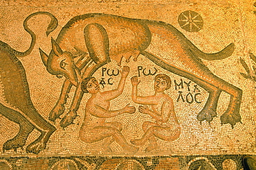 Syria, Orontes Valley, Apamea, The Museum Established In A Turkish Khan (Caravanserai), A Roman Mosaic Representing Romulus And Remus Fed By The Roman Wolf And Found In The Apamea Cardo Ruins