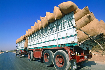 Syria, On The Raqqa To Aleppo Road, Overtaking A Truck Loaded With Bags Of Raw Cotton 