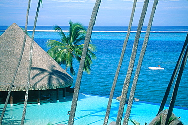 French Polynesia, Tahiti, Hotel Beachcomber Swimming Pool And Lagoon In Punaauia, Palm Trunks At Fore