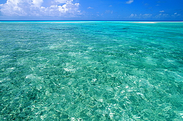 French Polynesia, Tuamotu Archipelago, Atoll Of Rangiroa, Lagoon