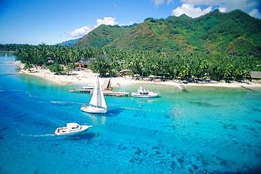 French Polynesia, Windward Islands, Moorea, Aerial Of Haapiti Beach And Lagoon