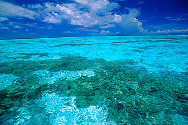 French Polynesia, Moorea Island, Colors Of The Lagoon