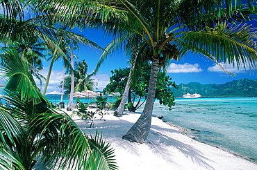 French Polynesia, Leeward Islands, Tahaa Island, Landscape Seen From Anislet, Cruise Ship Moored In The Lagoon At Back