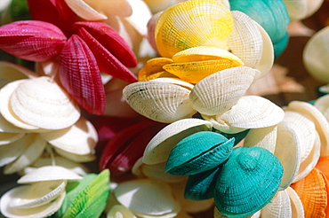 French Polynesia, Tahiti, Colored Shells Lei For Sale