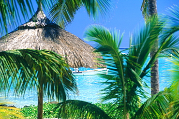 Mauritius Island, Lagoon And Fishing Boat Seen Through A Frame Of Blurred Palms