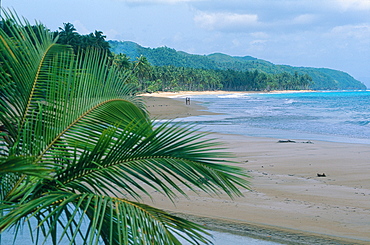 Dominican Republic, Las Terranas, Empty Beach