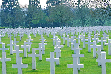 France, Normandy, Manche (50), St James Military Cimetery Near Avranches, White Crosses On American Soldiers Graves