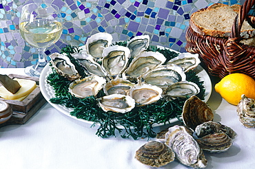 France, Normandy, Cancale Flat Oysters Dish Bread And White Wine