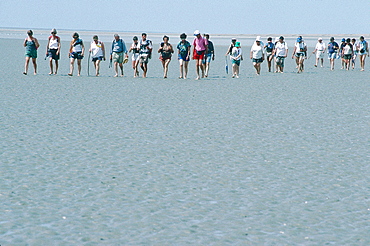 France, Normandy, Manche (50), The Bay, At Low Tide The Socalled Tangue (The Grey Sand) , Strollers At A Pilgrimage Coming From Granville By Foot