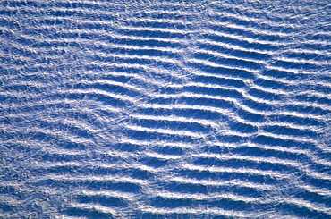 France, Normandy, Manche (50), The Bay, At Low Tide The Socalled Tangue (The Grey Sand) , Closeup