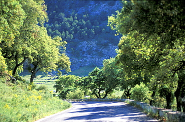 Spain, Andaloucia, Pueblos Blancos (White Villages) Road Before Grazalema