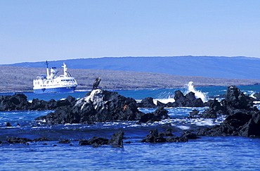 Ecuador, Galapagos Archipelago, Cruise On Board Of Ms Santa Cruz, Isabella Island, Urbina Bay