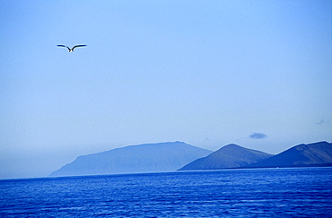 Ecuador, Galapagos Archipelago, Cruise On Board Of Ms Santa Cruz, Isabella Island, Urbina Bay