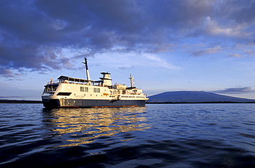 Ecuador, Galapagos Archipelago, Cruise On Board Of Ms Santa Cruz, 