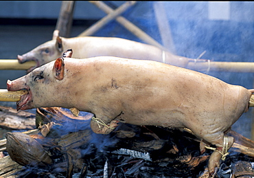 Indonesia, Bali Island, Odalan Temple, Small Pigs Roasting During An Odalan (Temple Festival)