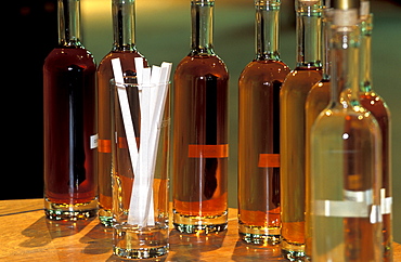 Bottles prepared for a tasting, Otard cellars, the castle, Cognac, Charente, France, Europe