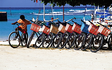 Seychelles, Ladigue, Bikes Rental & Boy