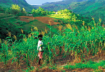 Mauritius, Rodrigues, Landscape & Boy