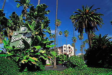 Los Angeles, California, Usa Beverly Hills Hotel & Gardens