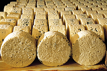 France, Aveyron, Roquefort Caves, Wrapped Cheeses Maturing