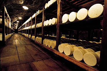 France, Aveyron, Roquefort Caves, Wrapped Cheeses Maturing