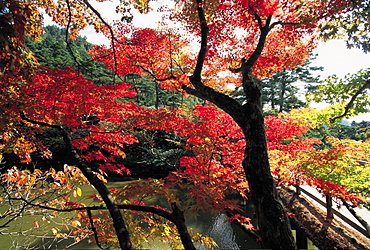 Japan, Kyoto, Shugakuin Villa Garden