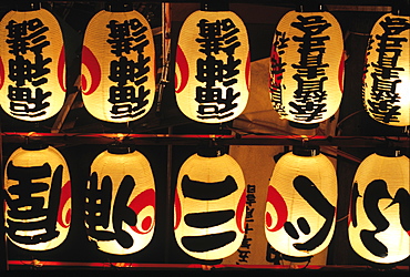 Japan, Tokyo, Temple Fairylights