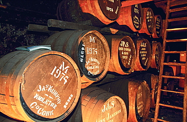 Ireland, Dublin, Jameson Whisky Cellars