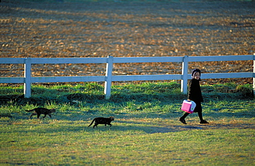 Elsa Going To School With Her Cats, Usa