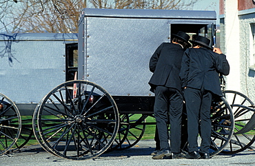 Buggy & Amish Boys Having A Chat, Usa