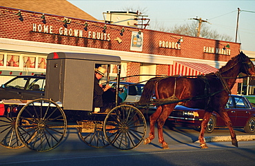 Kaufmann Amish Farm Market, Usa