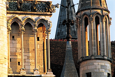 Dijon, St Jean Cathedral, Burgundy, France