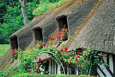 Typical Straw Roof, Normandy, France