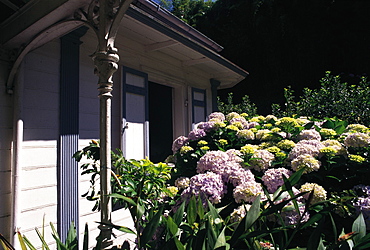 Detail Of Garden, Salazie, Reunion