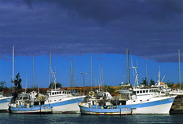 Fishing Boats At Pier, Saint-Denis, Reunion