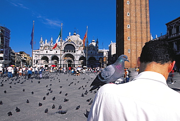 Man Feeding Pigeons, San Marco, Venice, Italy