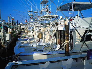 Charter Fishing Boats, Key Largo, Florida, Usa