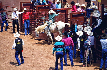 Usa, Arizona, Window Rock Rodeo
