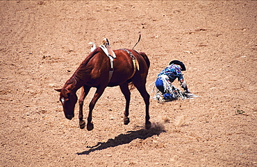 Usa, Nm, Window Rock Rodeo, Fallen Contestant