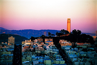 Overview At Dusk, Coit Tower At Rear, San Francisco, Usa