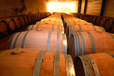 France, Corsica, South, Ajaccio (Near), Cellars Of Comte Peraldi Winery, Lining Oak Barrels