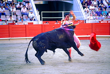 Spain, Catalonia, Barcelona, Corrida, The Torero Is In A Bad Position