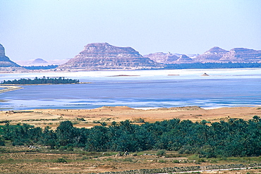 Egypt, The Lybic Desert And Oasis , Overview On The Salted Lake In The Siwa Oasis 