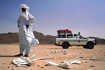 Algeria, Sahara, Tassili M'ajjer, 600 Km East Of Djanet Oasis, Tuareg Driver Looking At Camels Bones 