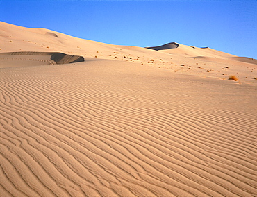 Algeria, Sahara, Tassili M'ajjer, 150 Km Of Oasis Of Djanet, Sand Dunes Of Mer De Sable 