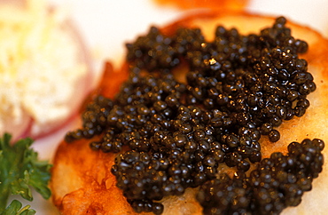 Russia, Saint Petersburg, Close Up On A Toast With Caviar 