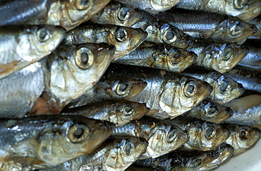 Russia, Saint Petersburg, Kolkhozian Marketsmoked Fishes 